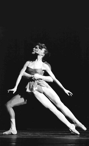 sibylle acatos dadey